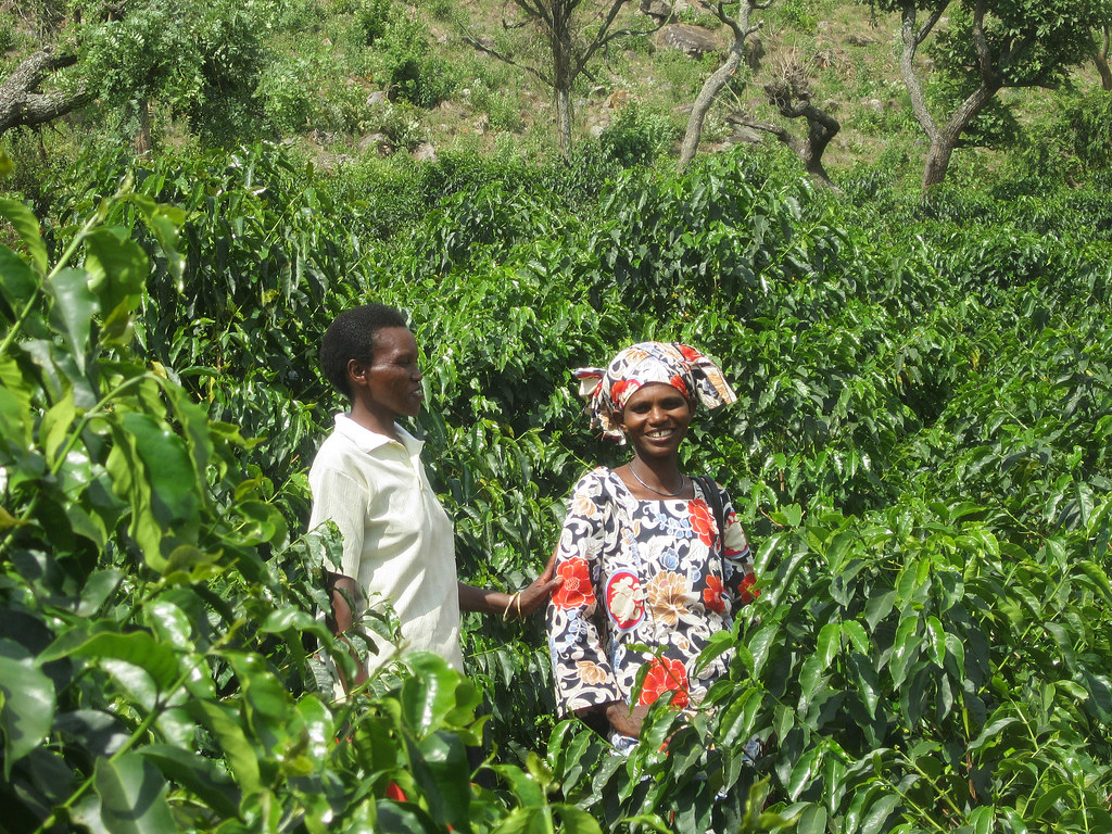 Tanzania — Great Lakes Region