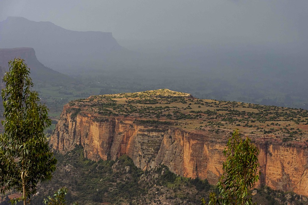 Highland Reserve — Summit Ridge Tanzania