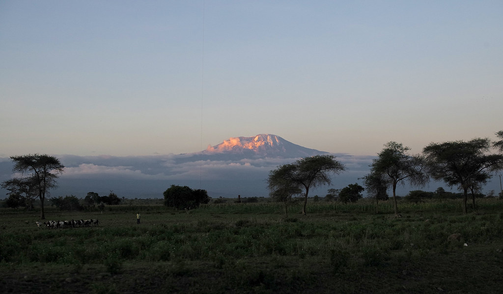 Kilimanjaro — Tanzania Southern Highlands